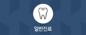 일반지료