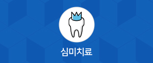 심미치료